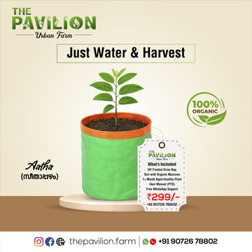 Aatha / Seethappatham